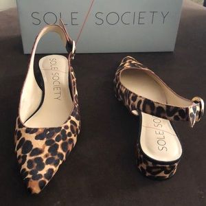 Leopard Flats